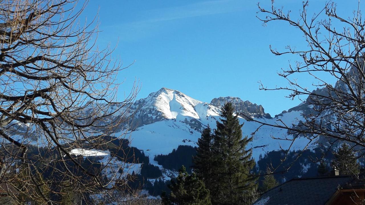 Chalet Allmegrat Adelboden Eksteriør bilde