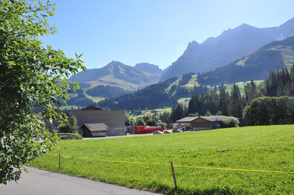 Chalet Allmegrat Adelboden Eksteriør bilde